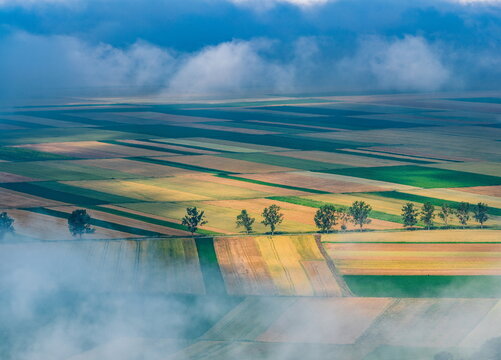 Golden Agricultural Patchwork in the Morning Mist Near Frumoasa, Harghita County, Romania.