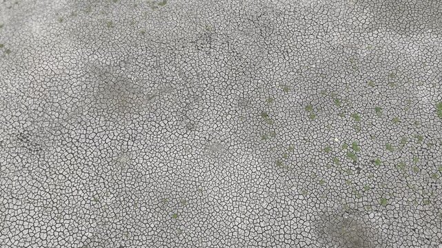 Smooth overhead drone flight capturing intricate cracked earth textures across a dried pond during the dry season in Bangladesh. This aerial landscape represents shrinking water resources. 