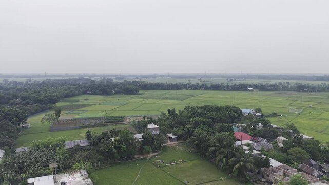 Cinematic drone footage flying over a rural farmhouse toward vast green agricultural fields in Bangladesh. The aerial view captures traditional village homes, open farmland, and countryside