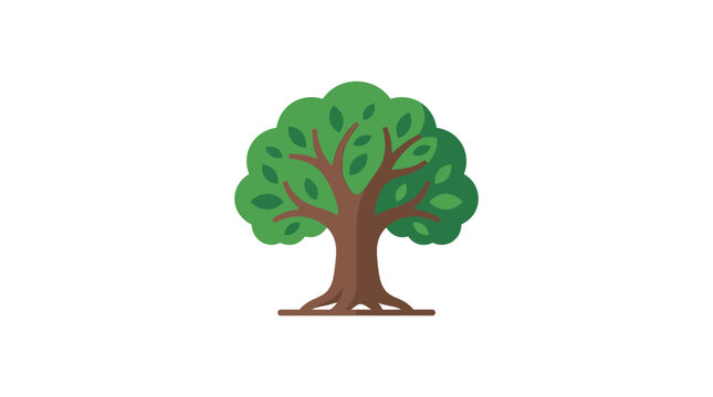 Deciduous Tree Vector Illustration