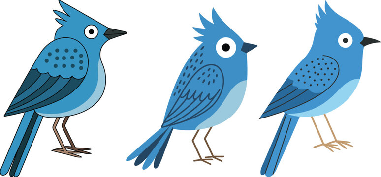 Cute cartoon blue jay characters set with stylized crested birds isolated on a plain white background vector illustration.