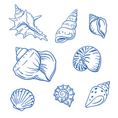 Fototapeta premium Marine seashells set monochrome summer beach sketch design