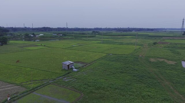 Cinematic drone footage capturing a half-orbit around an irrigation water pump as fresh water flows across vibrant green crop fields in rural Bangladesh. Ideal for agriculture and irrigation systems.