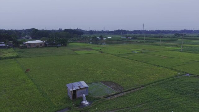 A 4K drone half-orbit shot focusing on an irrigation water pump delivering water through irrigation channels to lush green farmland in rural Bangladesh. 