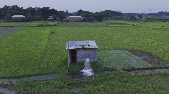 High-quality aerial drone footage capturing a smooth descent over irrigation water entering a green-crop field in Bangladesh. Ideal for agriculture, irrigation systems, farming, and rural landscapes.