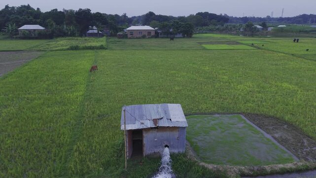 A cinematic 4K drone shot slowly moving forward toward an irrigation water pump as fresh water flows into lush green agricultural fields in rural Bangladesh. 