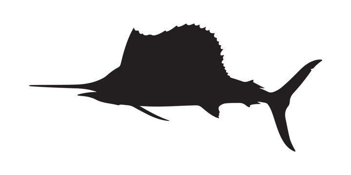 Black silhouette of a large sailfish swimming in the ocean water for fishing and sports logo