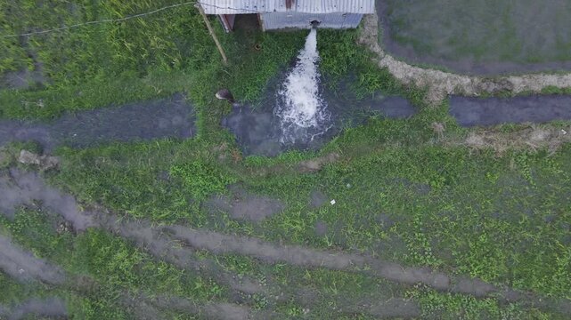 High-quality drone footage capturing irrigation water entering a green agricultural field in Bangladesh. The camera remains steady as it focuses on the flowing water, showcasing active irrigation.