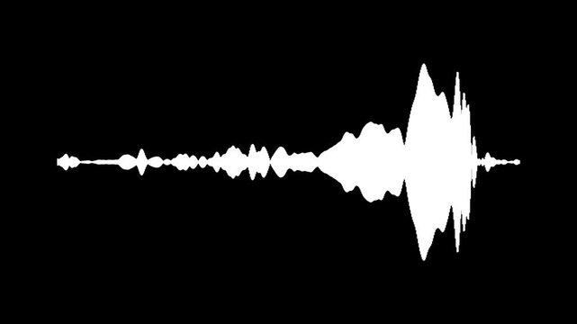 White audio waveform animation, clean sound wave spectrum loop, Abstract audio sound visualiser wave spectrum animation on black background, white line audio wave visualisation,4k video.