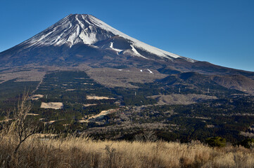 Fototapeta premium 愛鷹山塊の越前岳より 冬の富士山と宝永火口 