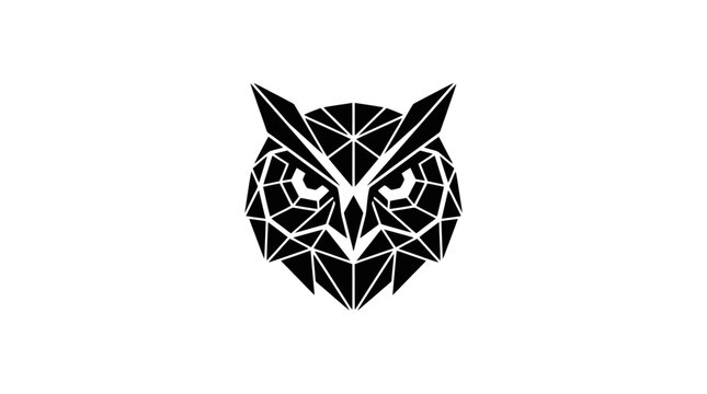 Geometric owl face illustration with white lines.