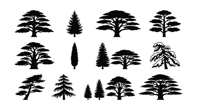  Cedar and Pine Tree Silhouette Icon Set Isolated on White Background