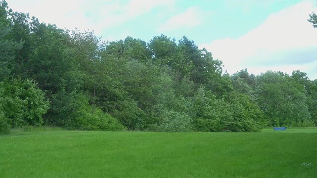 Peaceful green park landscape with trees swaying in the wind and open grassy field under a cloudy sky, representing nature, outdoor relaxation, environmental conservation, and tranquil scenery.