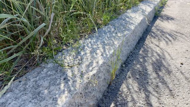 Grass Shadow Falling on Stone Curb Edge