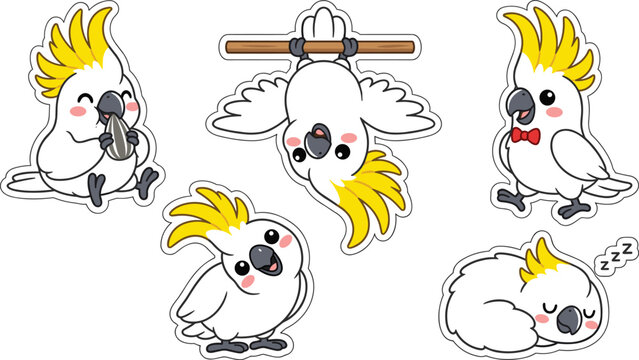 Cute cockatiel sticker collection featuring playful, hanging and sleeping cartoon parrots vector illustration set