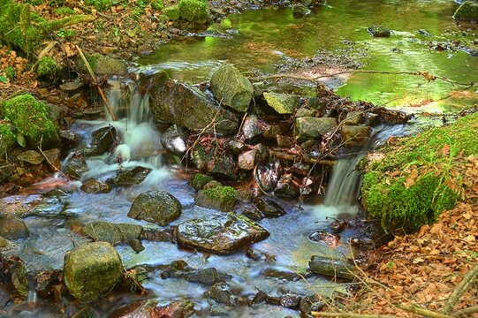 Kleiner Bach in den Vogesen