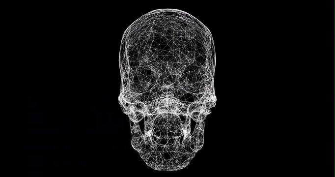 A digital wireframe human skull rotates from a right profile through a front view to a left profile. The futuristic white plexus structure animates smoothly on a black background.
