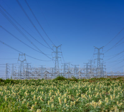 Massive Substation and High-Voltage Transmission Towers in Arid Landscape