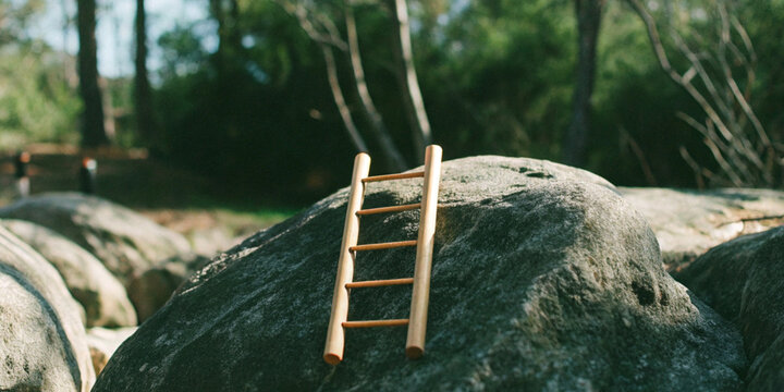 Growing and overcoming obstacles with ambition, using a small wooden ladder leaning against a rock in the forest