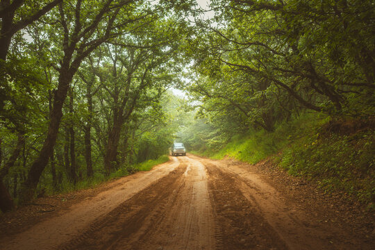 An off-road vehicle driving on a dirt road through the lush green trees and misty atmosphere of Abr Forest in Semnan, Iran.