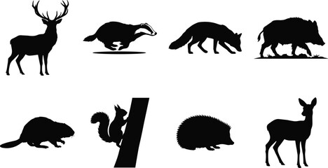 Fototapeta premium Collection of black vector silhouettes of wild forest animals including deer badger fox boar squirrel and hedgehog