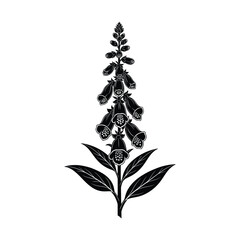 Elegant black and white illustration of a foxglove plant with bell-shaped flowers and leaves, rendered in a classic botanical style. © Shukhi's world 