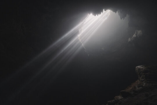 Goa Jomblang cave forest and jungle, Java, Indonesia