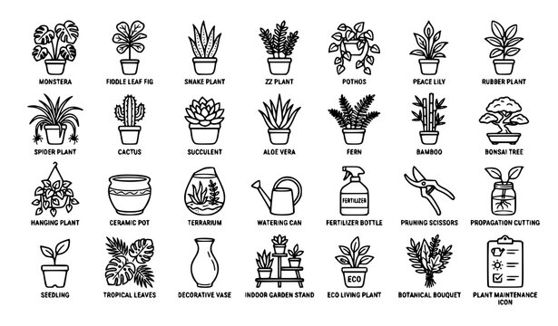 indoor, plants, houseplant, botanical, monstera, fiddleleaf, snakeplant, pothos, zzplant, succulent, cactus, fern, bonsai, bamboo, foliage, tropical, planter, gardening, watering, decor, outline, mono
