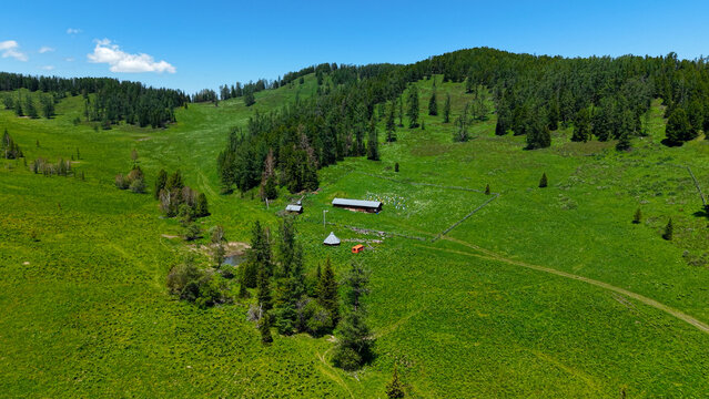 High angle drone aerial panorama of a remote bee farm with hives and wooden cabins nestled in a lush green Altai mountain valley.