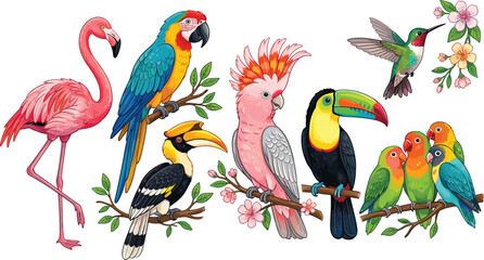 Exotic Tropical Birds Vector Illustration Set with Flamingo, Macaw, Toucan, Hornbill, Cockatoo, and Hummingbird on White Background © MdRiazul