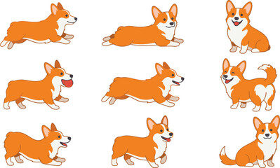 Fototapeta premium Corgi Dog Character Collection Vector Set with Cute Puppy Poses, Cartoon Pet Illustrations and Adorable Domestic Animal Design Pack