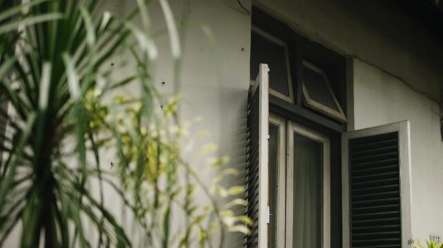 Traditional Indonesian Wooden Window Close Up