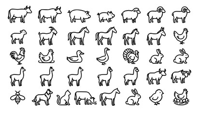 Fototapeta premium farm, animals, livestock, domestic, agriculture, cow, pig, sheep, goat, horse, donkey, rabbit, chicken, hen, rooster, duck, goose, buffalo, llama, alpaca, outline, monoline, icon, editable, stroke, ve