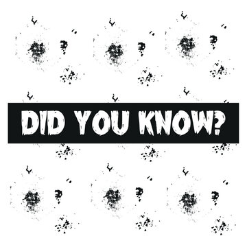 Did you know banner design. Box frame with bulb. Template with message speech bubble and question mark. Vector illustration.