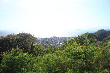 仙元山 © yossan.my