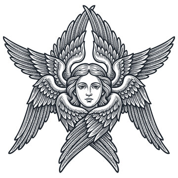 Detailed vector engraving illustration of a biblical seraph angel featuring six wings and a serene human face isolated on a white background.