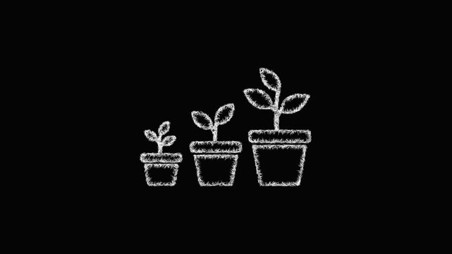 Sketch plant pots icon animation - smooth progressive reveal
