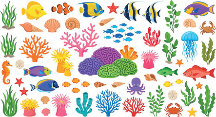 Marine underwater sea life vector elements collection with colorful coral reef fish octopus crabs starfish seaweed icons bundle © ALOMGIR