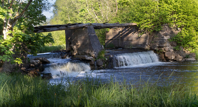 Abandoned and overgrown ruins of an old mill dam.
