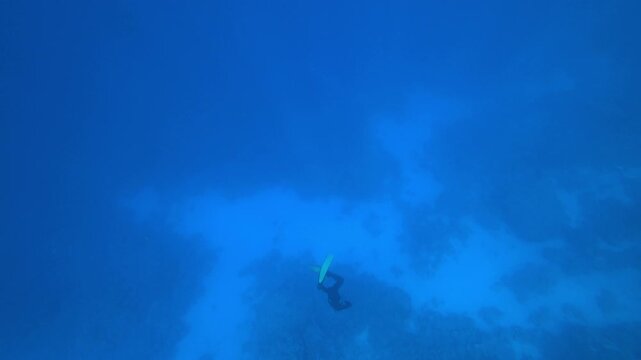 freediver dives into the sea depths