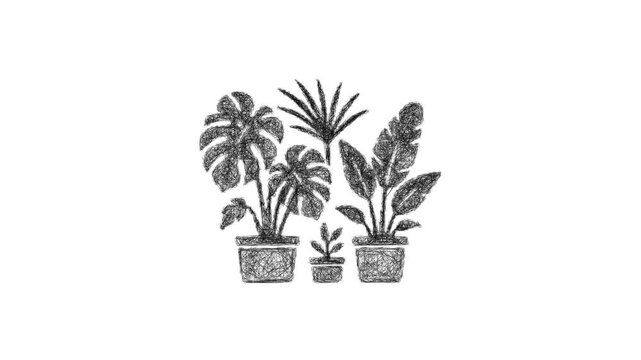 Sketch tropical plants icon animation - smooth progressive reveal