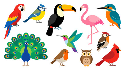 Obraz premium Colorful Bird Collection Featuring Parrots Hummingbirds and Owls.