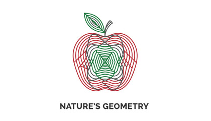 Obraz premium Creative line art illustration of a red apple with green leaves and complex geometric details on a white background.