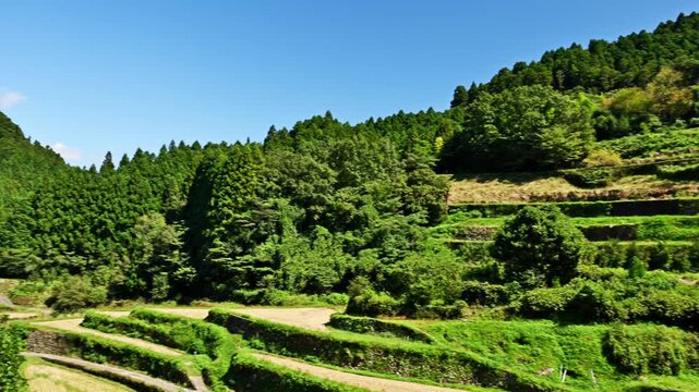 日本の原風景：鮮やかな曼珠沙華と美しき里山のつづら棚田
福岡県うきは市
An Archetypal Japanese Landscape: Vibrant Red Spider Lilies and the Beautiful Tsuzura Terraced Rice Fields of Satoyama