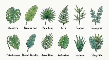 Variety of green tropical leaf types. © Iffa