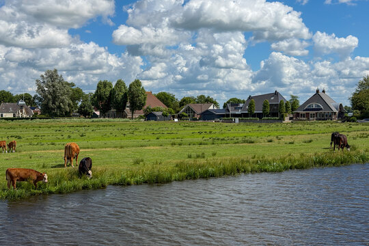 Friesische Landschaft mit K&uuml;hen, H&auml;usern und weitem Himmel, Joure, Friesland, Niederlande