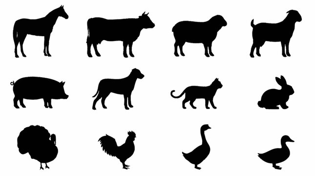 Silhouettes of Various Farm Animals and Birds.