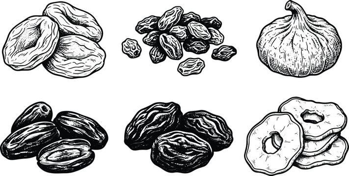 Vintage engraved dried fruits illustration set featuring apricots raisins dates figs and apple