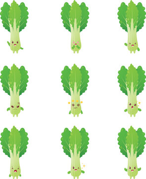 Funny Bok Choy Vegetable Mascot Set
