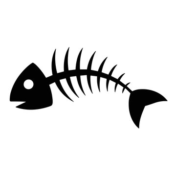vector illustration of a fish skeleton